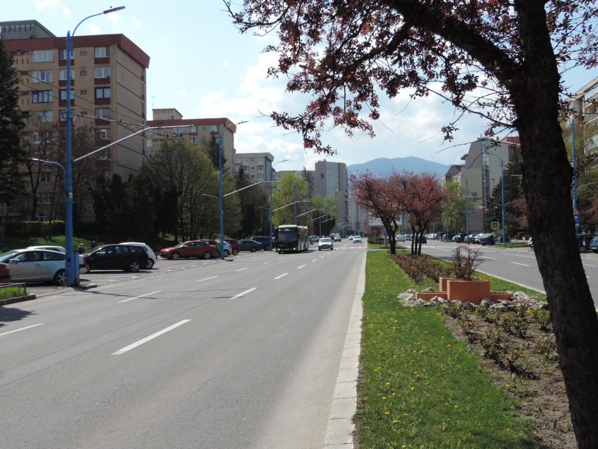 Victoriei Boulevard Private Apartment Μπρασόβ Εξωτερικό φωτογραφία
