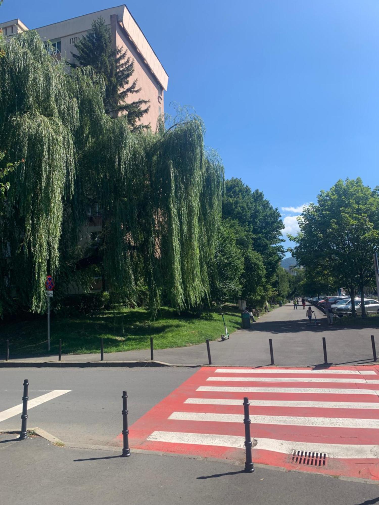 Victoriei Boulevard Private Apartment Μπρασόβ Εξωτερικό φωτογραφία